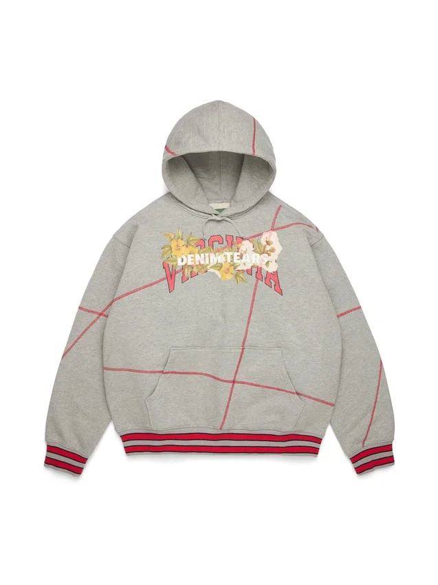 Felpa con cappuccio DT Virginia con cucitura overlock, grigia