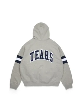 Felpa con cappuccio e zip a righe DT, grigia